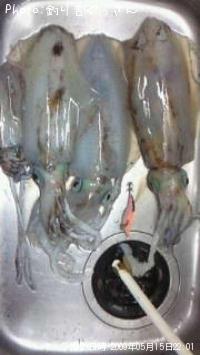 �����ꥤ��