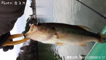 �顼���ޥ����Х�