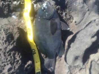 ¸ýÂÀ¥á¥¸¥Ê