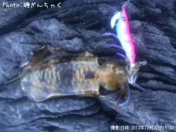 ¸ýÂÀ¥á¥¸¥Ê