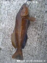 �����ʥ�