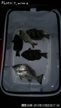 �����������᥸��