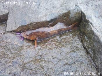 �����ʥ�