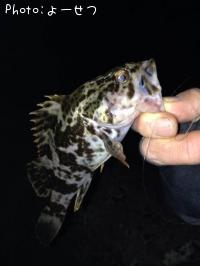 �����Υ���Х�