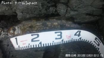 �����ʥ�