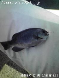 ���ӥ᥸��