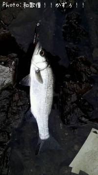 �ҥ饹����