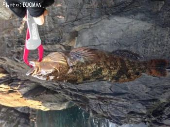 �����ʥ�