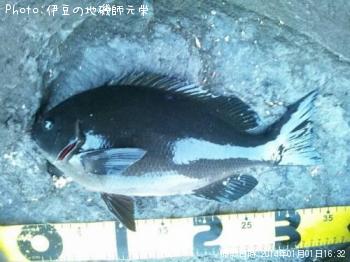 �����᥸��