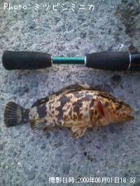 �����Υ���Х�