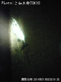 �����Х�