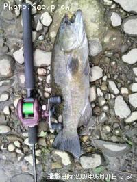 �֥�å��Х�