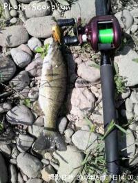 �֥�å��Х�