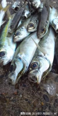 ���������ޥ�