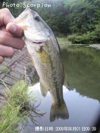 �֥�å��Х�