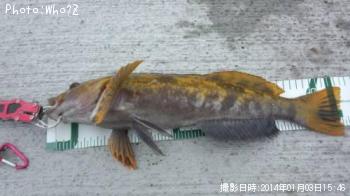 �����ʥ�