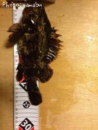 �����Υ���Х�