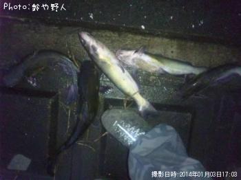 ����åȥե��å���