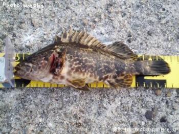 �����Υ���Х�