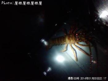 ���ꥬ�ˡʾС�