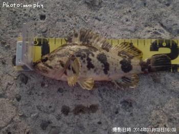 �����Υ���Х�