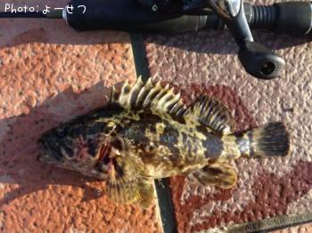 �����Υ���Х�