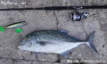 �����ߥ���