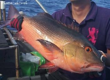 �Х�ե�����