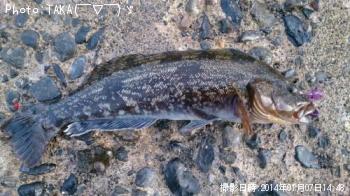 �����ʥ�