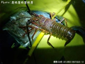 °ËÀª³¤Ï·¤Á¤ã¤ó