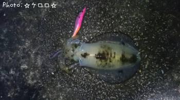 �����ꥤ��