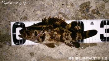 �����Υ���Х�