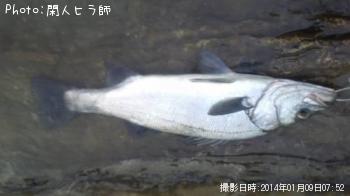 �ҥ饹����