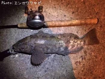 �����ʥ�