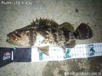 �����Υ���Х�