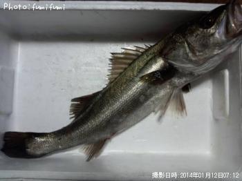 �����Х���