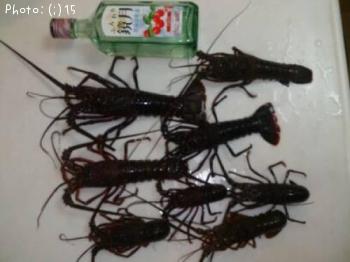 ������Ϸ