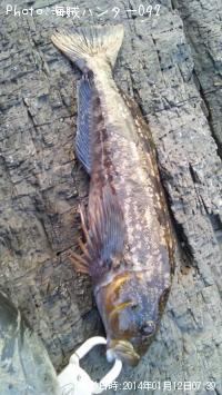 ¥Ù¥Ã¥³¥¦¡¡¡¡¥¢¥¤¥Ê¥á