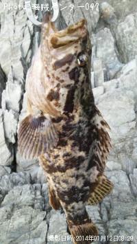 ¥Ù¥Ã¥³¥¦¡¡¡¡¥¢¥¤¥Ê¥á