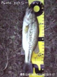 ¥Ö¥é¥Ã¥¯¥Ð¥¹