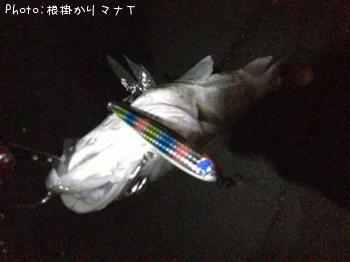 �����Х�