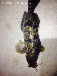 �����ʥ�