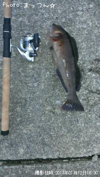 �����ʥ�