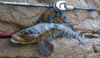 �����ʥ�