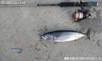 ���������ĥ�