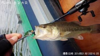 �顼���ޥ����Х�