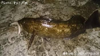 �����ʥ�