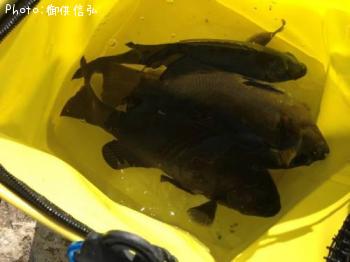 ¸ýÂÀ¥á¥¸¥Ê