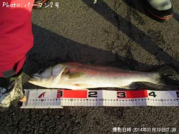 �����Х�