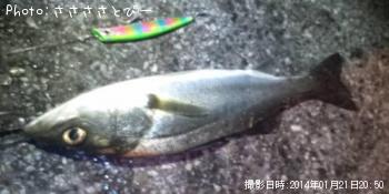 ��ǯ�饷���Х�